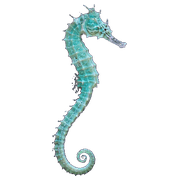 026