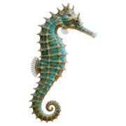 027