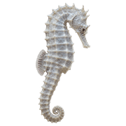 039