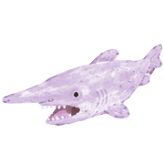 008