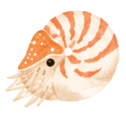 018