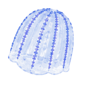 034