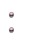 244