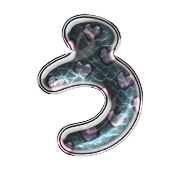 003