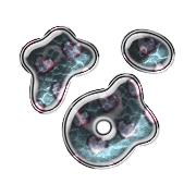 021