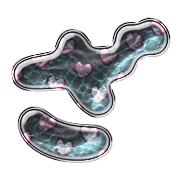 061