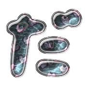 066