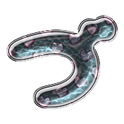 068