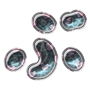 073