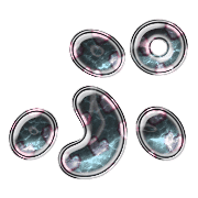 078