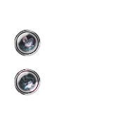 244