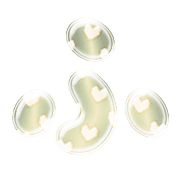 028