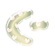 058
