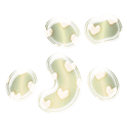 073