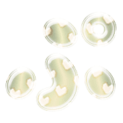 078