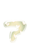 127