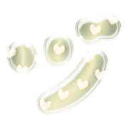148