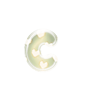 190