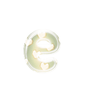 192