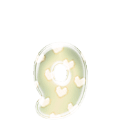 194