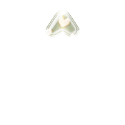 231