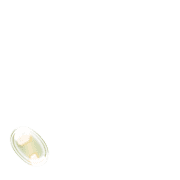 256
