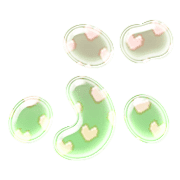 073