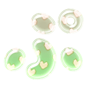 078