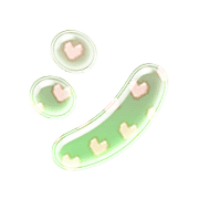 092