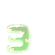 135