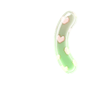 234