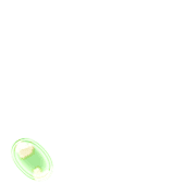 256