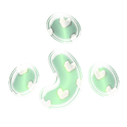 028