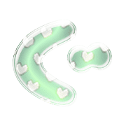 058