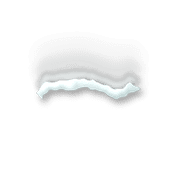 224