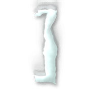 241