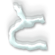 020