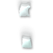 244