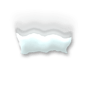 251