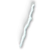 247