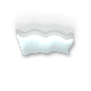 251