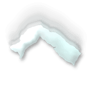 029