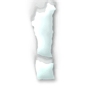 225