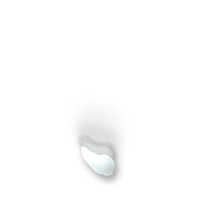 256