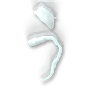 003
