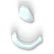 010