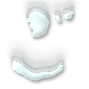 060