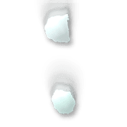 244