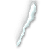 247