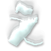 004